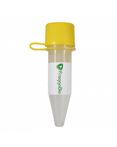 FroggaGreen qPCR Reagent 1ml