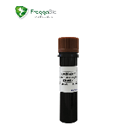1ml vial of Redsafe nucleic acid staining solution 20,000x