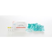 25239-2 e-Myco™ VALiD Mycoplasma PCR Detection Kit, 96 tubes